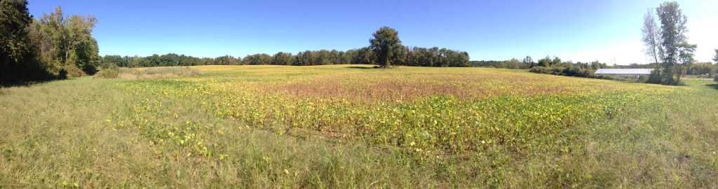 Top 5 Fall&nbsp;Recipes