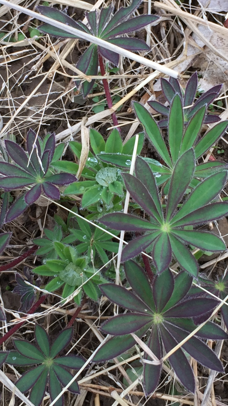 Rain – April Employee of the&nbsp;Month