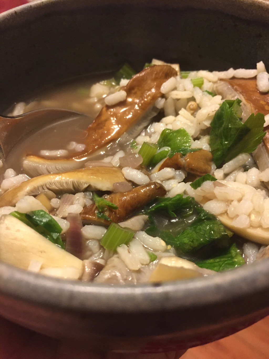 Mushroom Arborio Soup